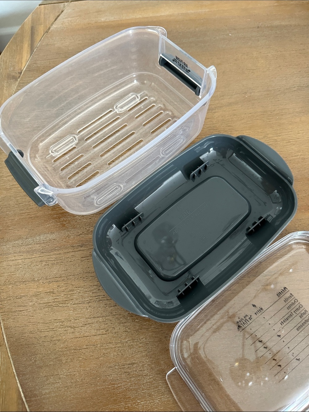 🍓🫐 Produce ProKeeper Stay Fresh Container with Gray Base by Progressive - Picture 9 of 12